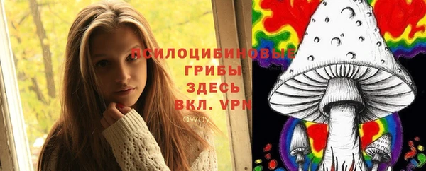 молекула духа Беломорск